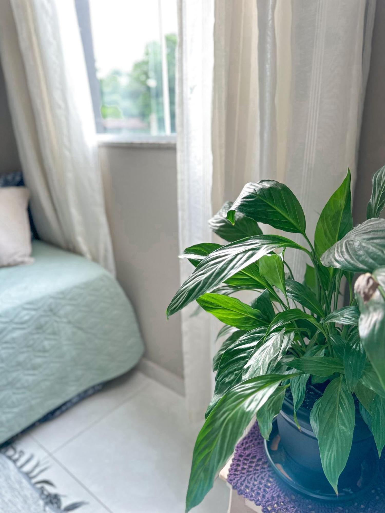 Hospedagem Zilz Pomerode Exteriér fotografie