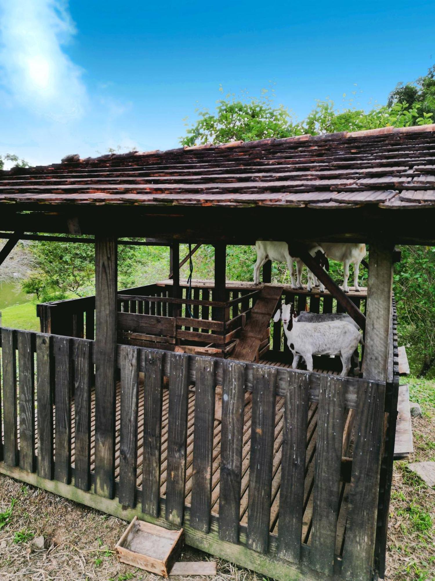 Hospedagem Zilz Pomerode Exteriér fotografie