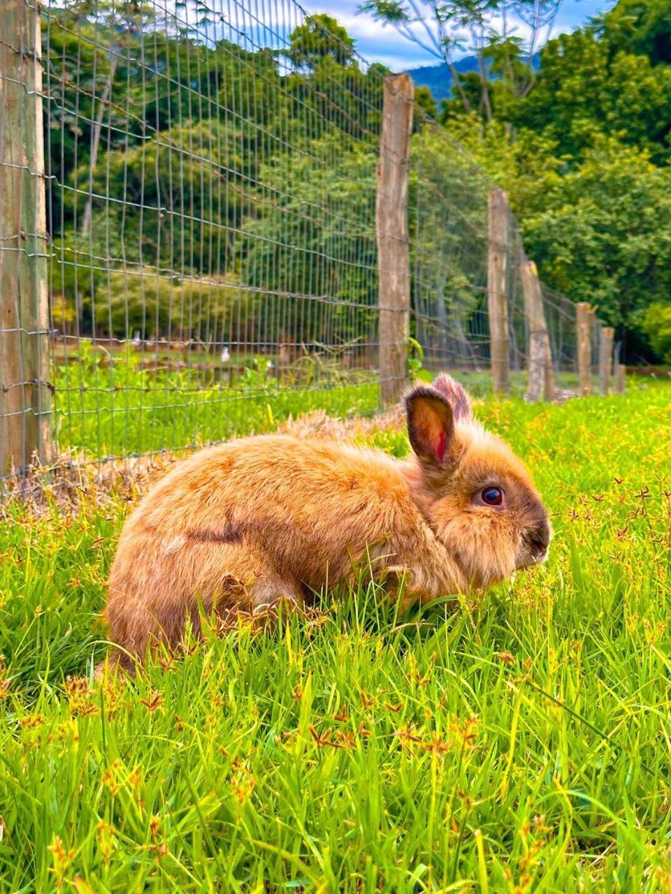 Hospedagem Zilz Pomerode Exteriér fotografie